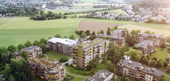 Newsletter SEin Juni 2025